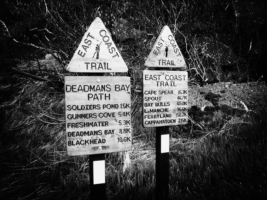 East Coast Trail Sign Photograph by Zinvolle Art