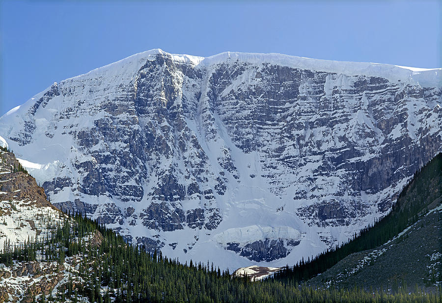 1M3744-East Face Mt. Kitchener Photograph by Ed  Cooper Photography