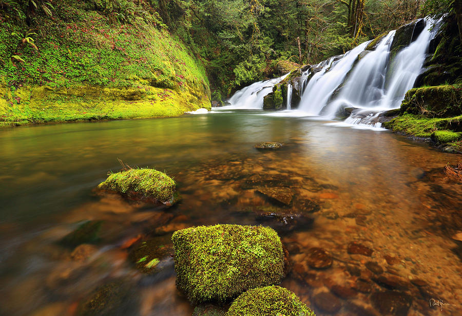 Waterfall Photograph - East Fork Coquille Falls by Robert Bynum