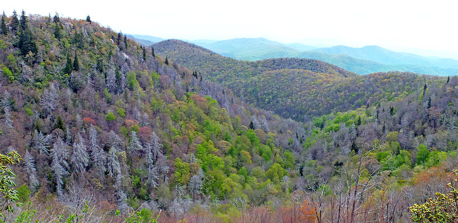 East Fork Overlook near MM 418 on the Blueridge Parkway Photograph by Duane McCullough