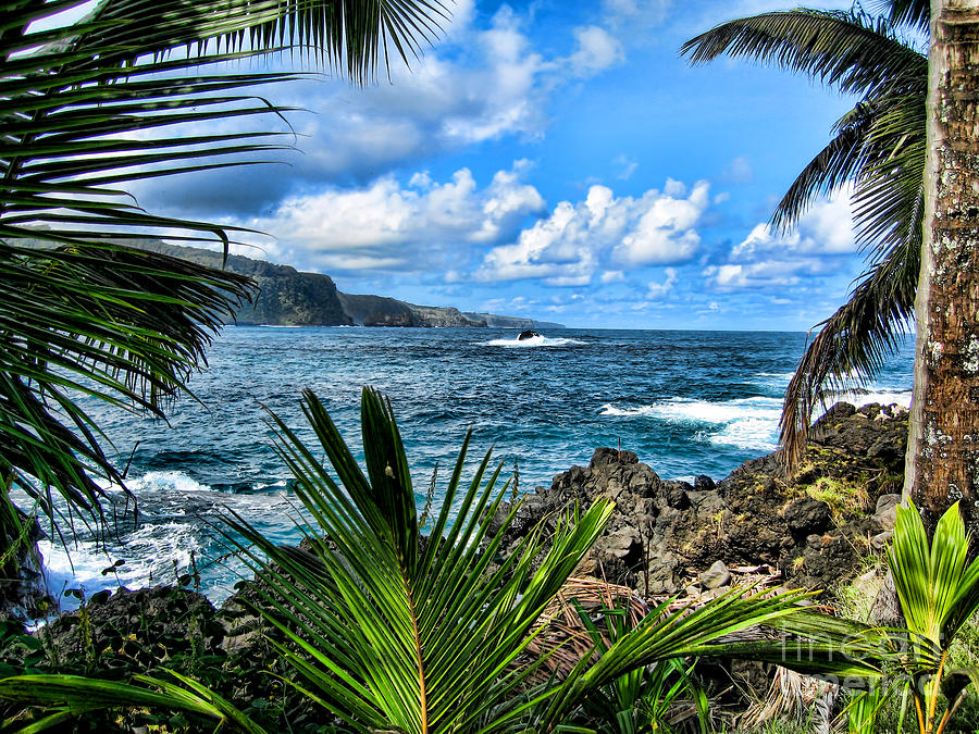 East Maui Coast Photograph by Baywest Imaging