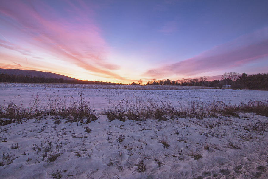 East Orchard Dawn Photograph by Tom Singleton - Fine Art America