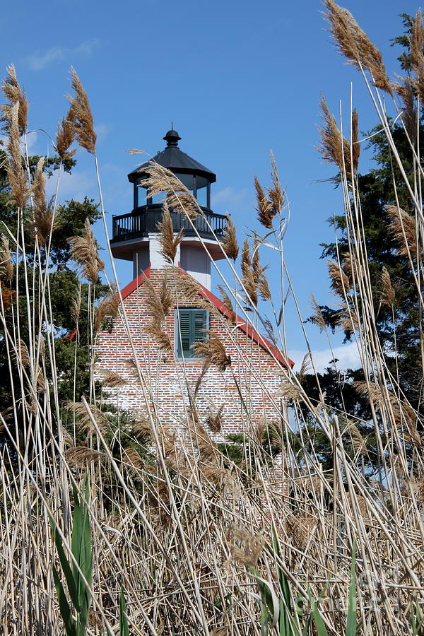 East Point Light Behind Seaoats Photograph by Christiane Schulze Art And Photography