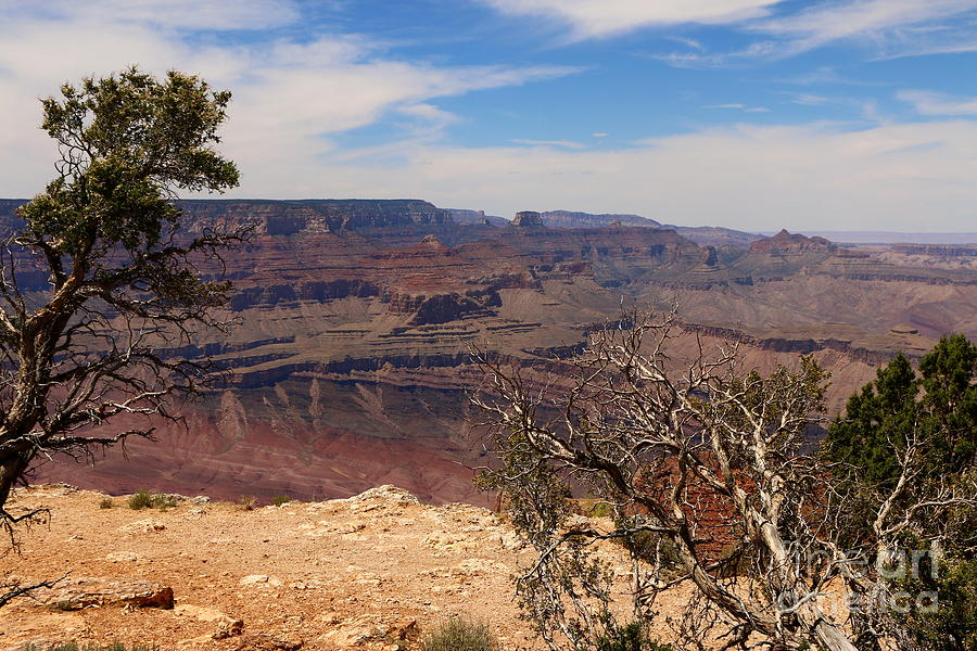 East Rim Grand Canyon Photograph by Christiane Schulze Art And Photography