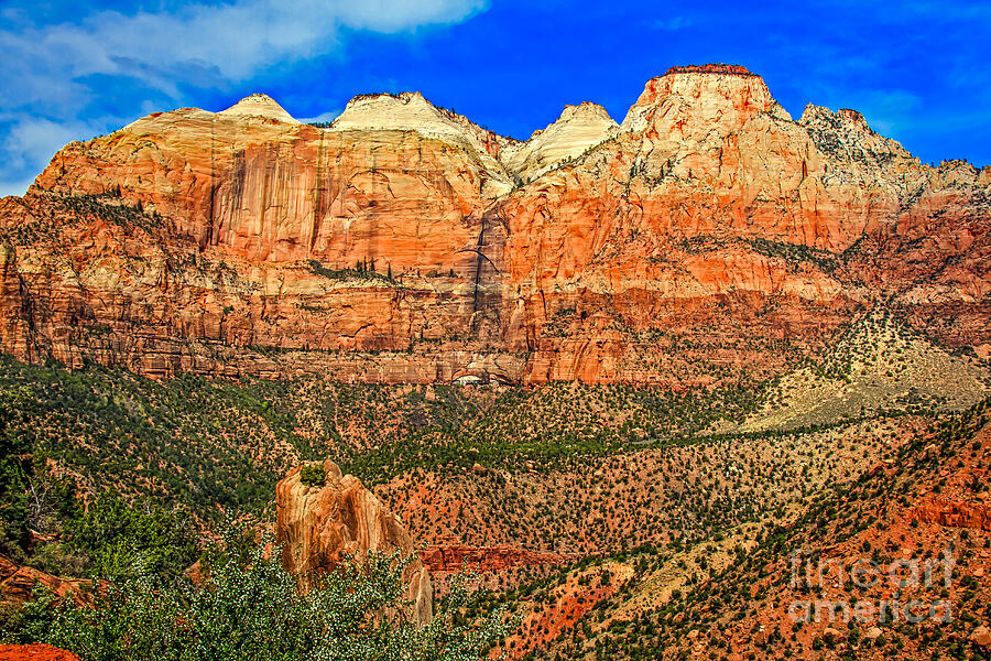 Zion National Park Photograph - East Temple by Robert Bales