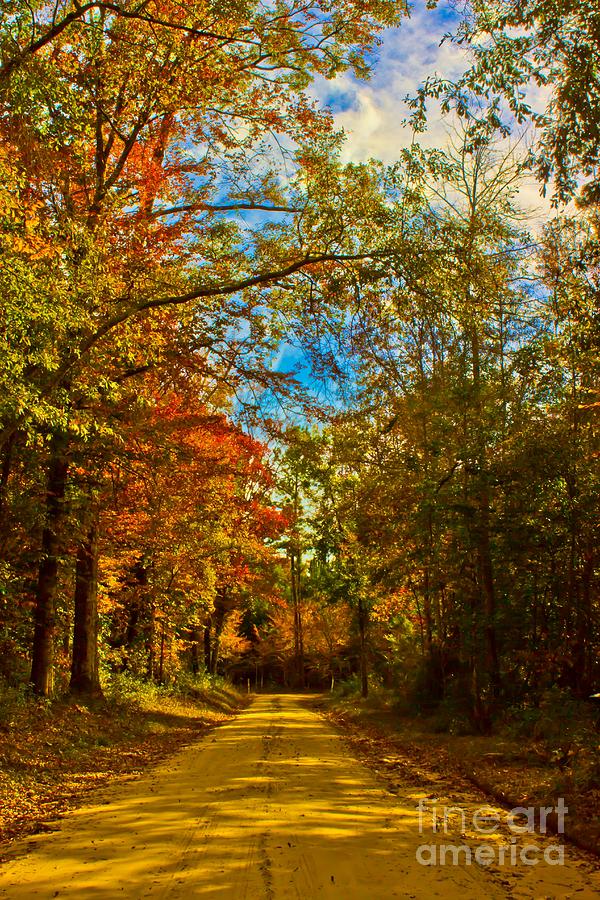 East Texas Back Roads HDR Photograph by Michael Tidwell