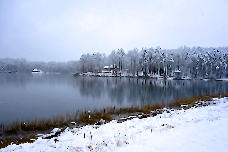 Winter Photograph - East Texas Lake in Winter - Illustration style by Norma Brock