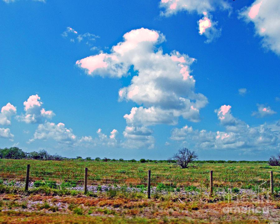 East Texas View Photograph by Lizi Beard-Ward