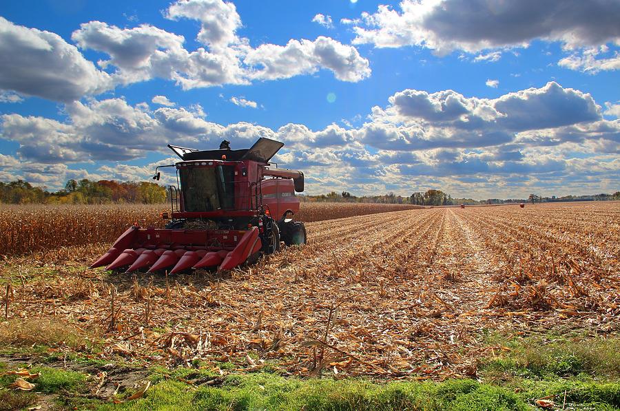 East Windsor Corn Field Photograph by Andrea Galiffi