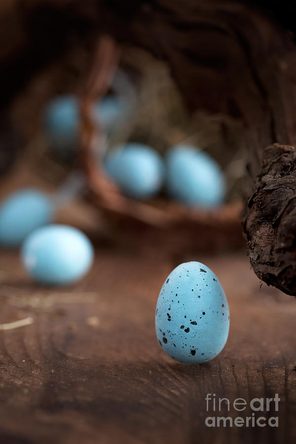 Easter Photograph - Easter blue eggs by Mythja Photography