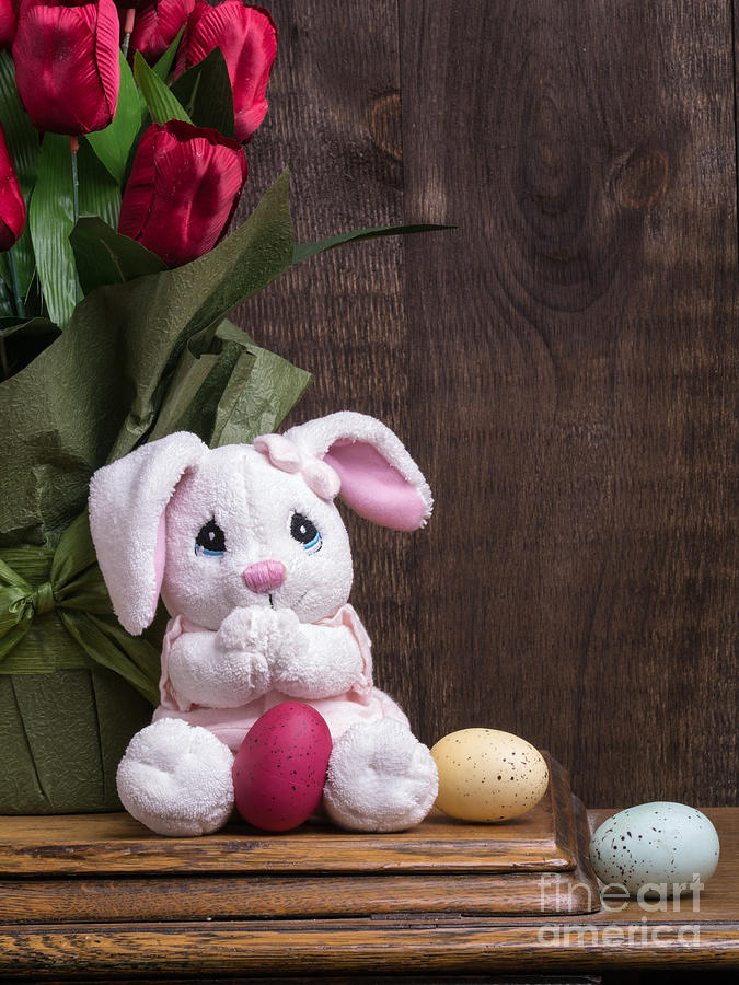 Easter Photograph - Easter Bunny Card by Edward Fielding