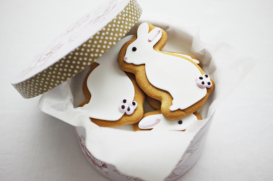 Easter Bunny cookies in round box Photograph by Tom Merton