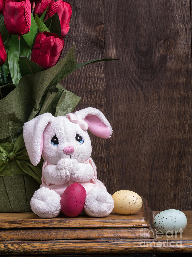 Easter Bunny Photograph by Edward Fielding