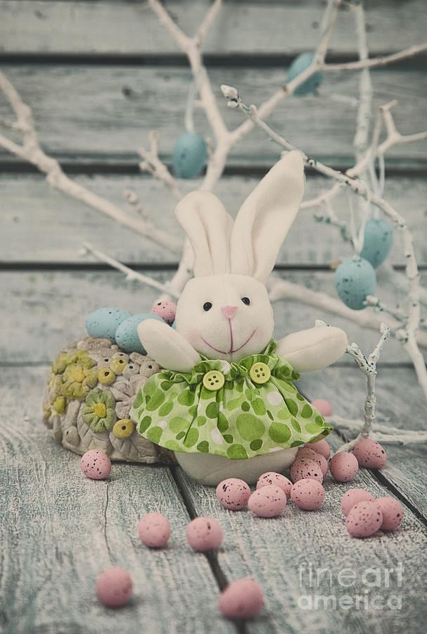 Easter Photograph - Easter bunny by Mythja Photography