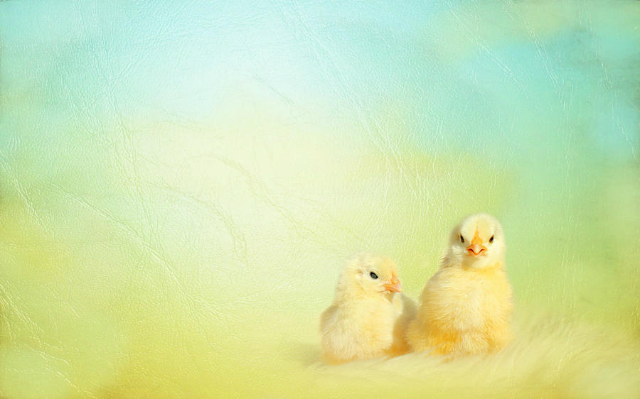Holiday Mixed Media - Easter chicks by Heike Hultsch