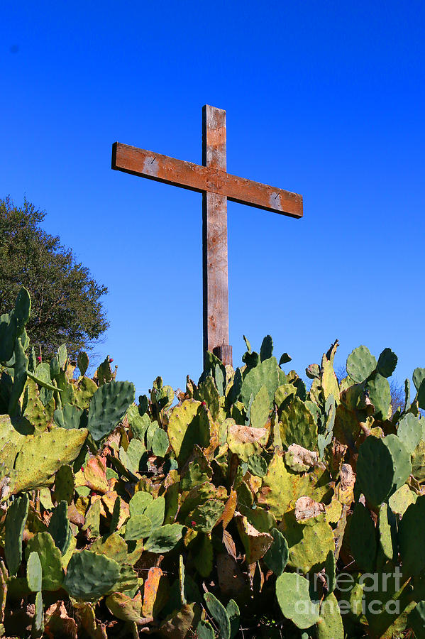 Easter Cross Photograph by Jeanette French