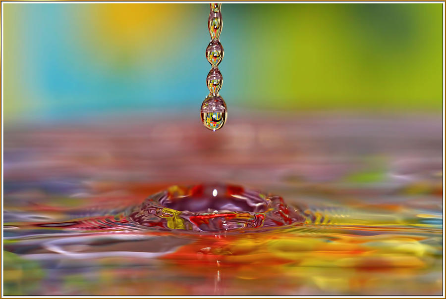 Easter drop water  Photograph by Geraldine Scull