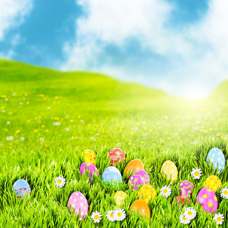 Easter Egg Meadow Photograph by Jo Ann Snover