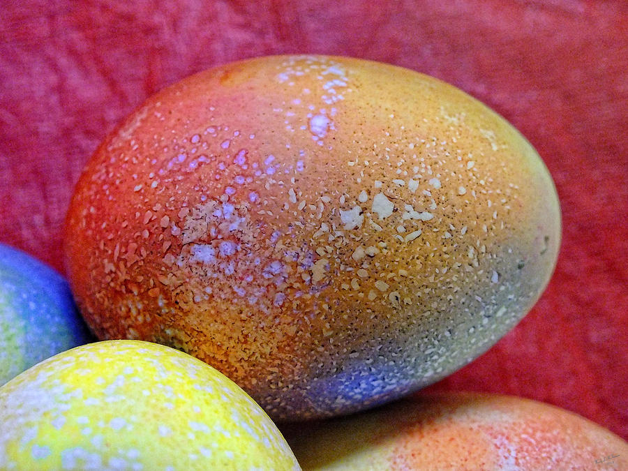 Easter Egg Speckle Photograph by Wendy McKennon