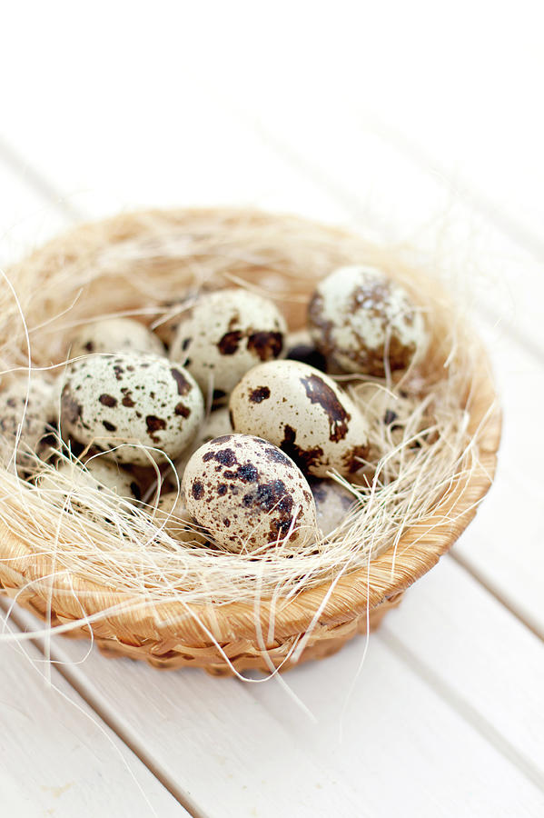 Easter Eggs Photograph by Food Photographer