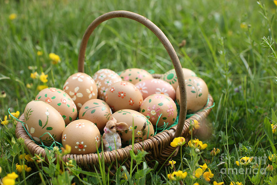 Easter Eggs Photograph by Godong