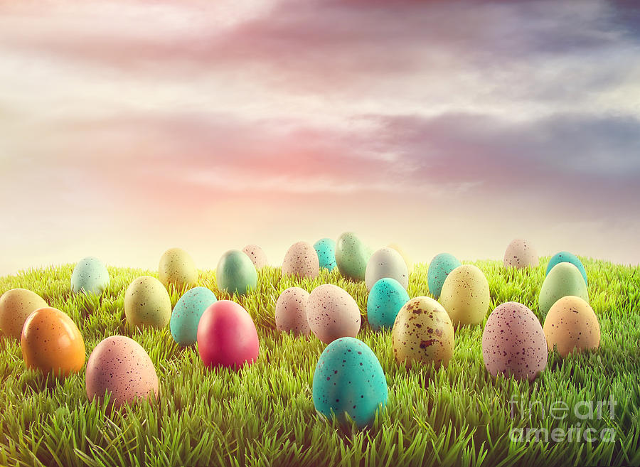 Easter eggs in grass  Photograph by Sandra Cunningham