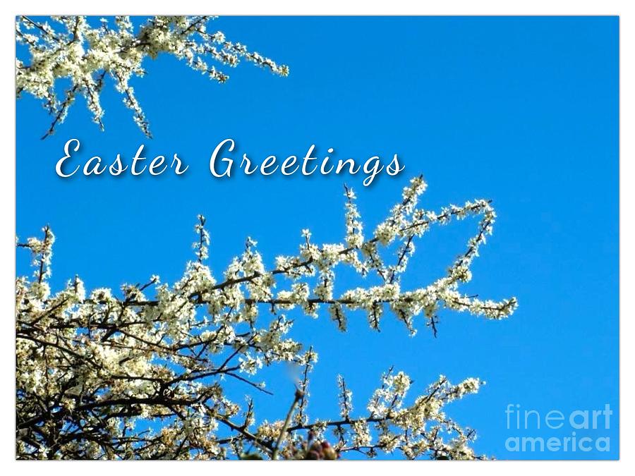 Easter Greetings White Blossoms Photograph by Joan-Violet Stretch
