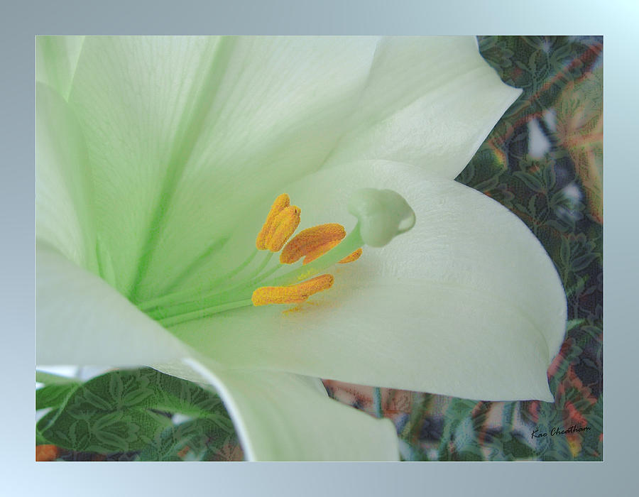 Easter Lily Photograph by Kae Cheatham