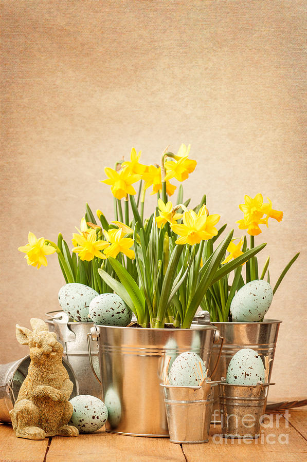 Spring Photograph - Easter Setting by Amanda Elwell