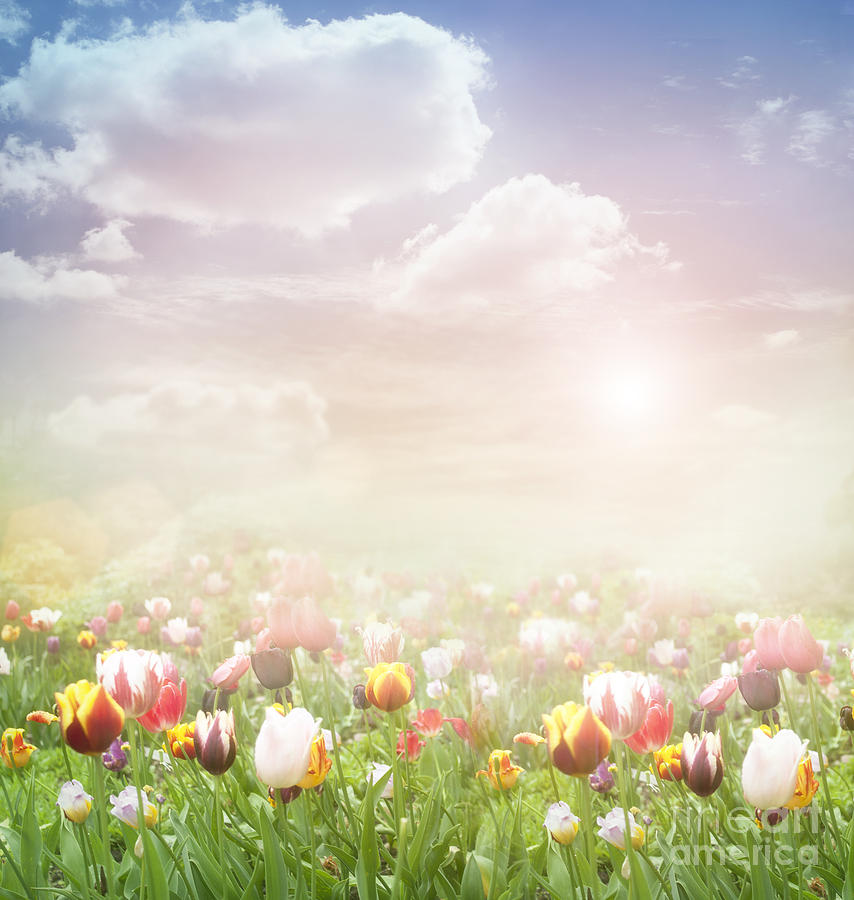 Easter Digital Art - Easter Spring  background by Mythja Photography