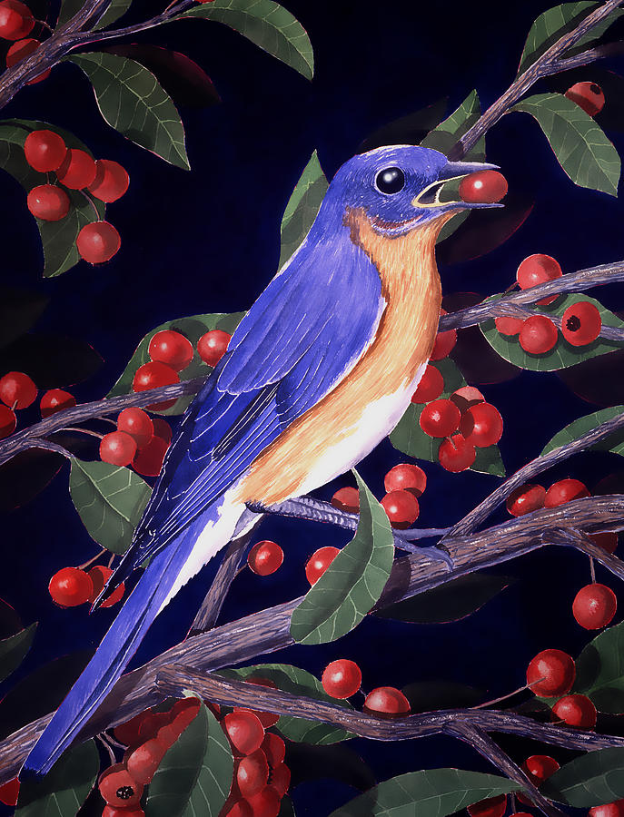 Eastern Bluebird Painting by Douglas Castleman