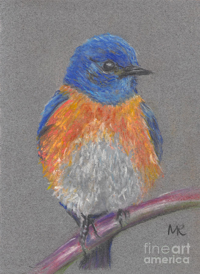 Bird Painting - Eastern Bluebird by Michelle Reeve