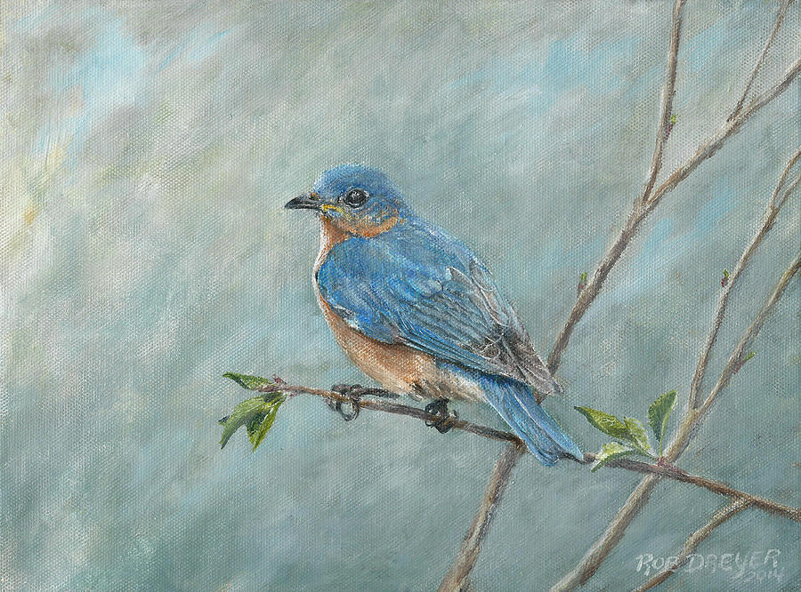 John James Audubon Painting - Eastern Bluebird by Dreyer Wildlife Print Collections 
