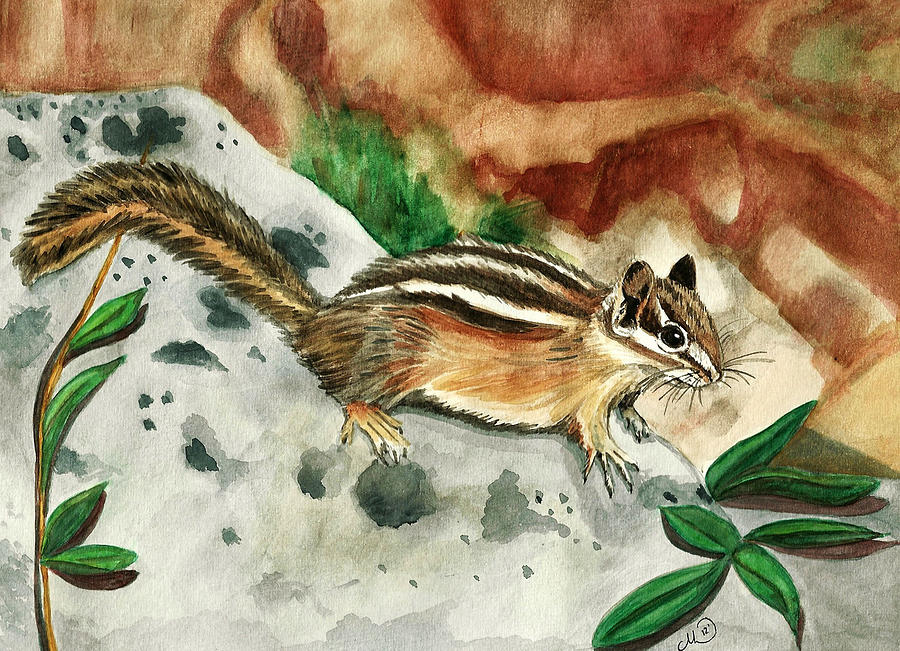 Eastern Chipmunk Painting - Eastern Chipmunk by Marcianna Howard Eastern Chipmunk Painting - Eastern Chipmunk by Marcianna Howard