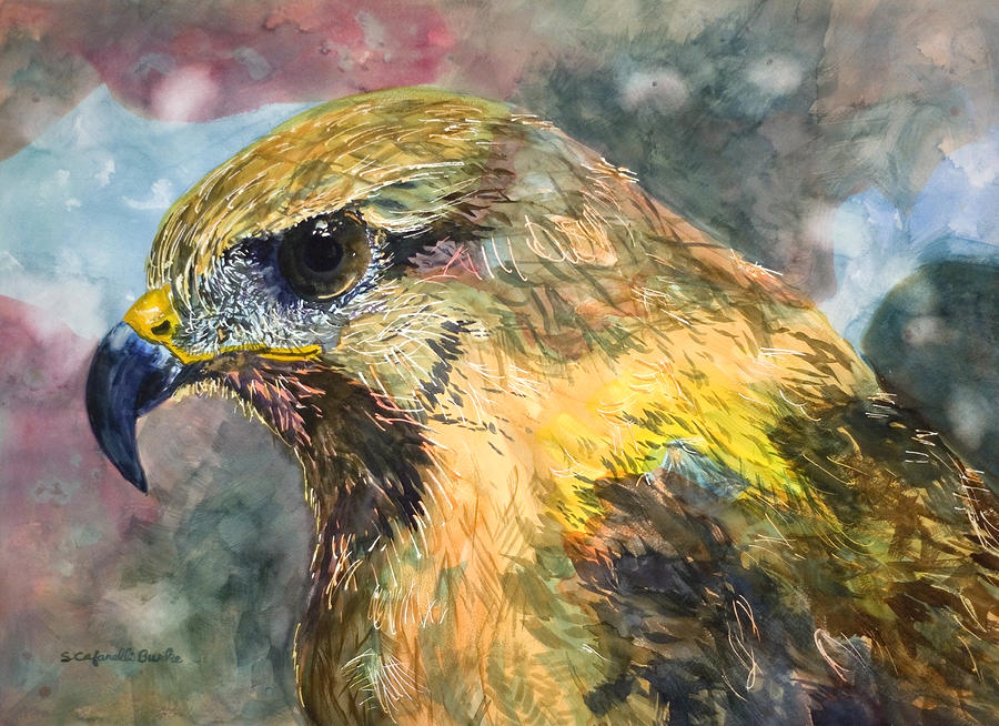 Animal Painting - Eastern Clan of the Hawk by Susan Cafarelli