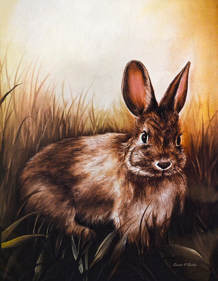 Eastern Cottontail Rabbit Painting by Sandi OReilly