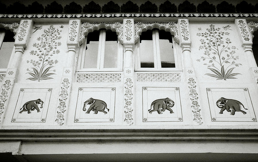 The Elephants Of India Photograph by Shaun Higson