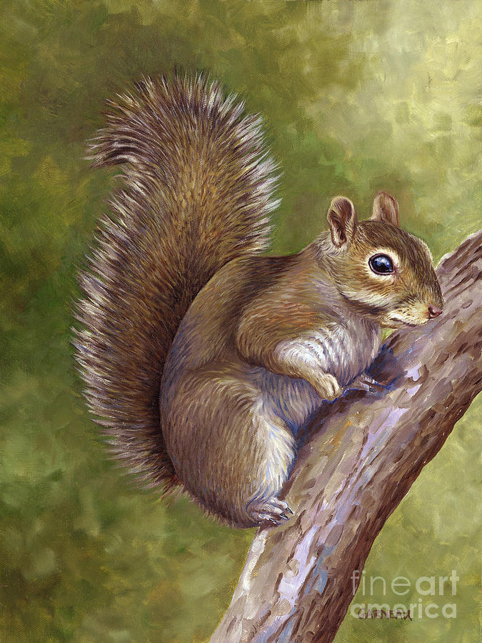 Wildlife Painting - Eastern Gray Squirrel by Catherine Garneau