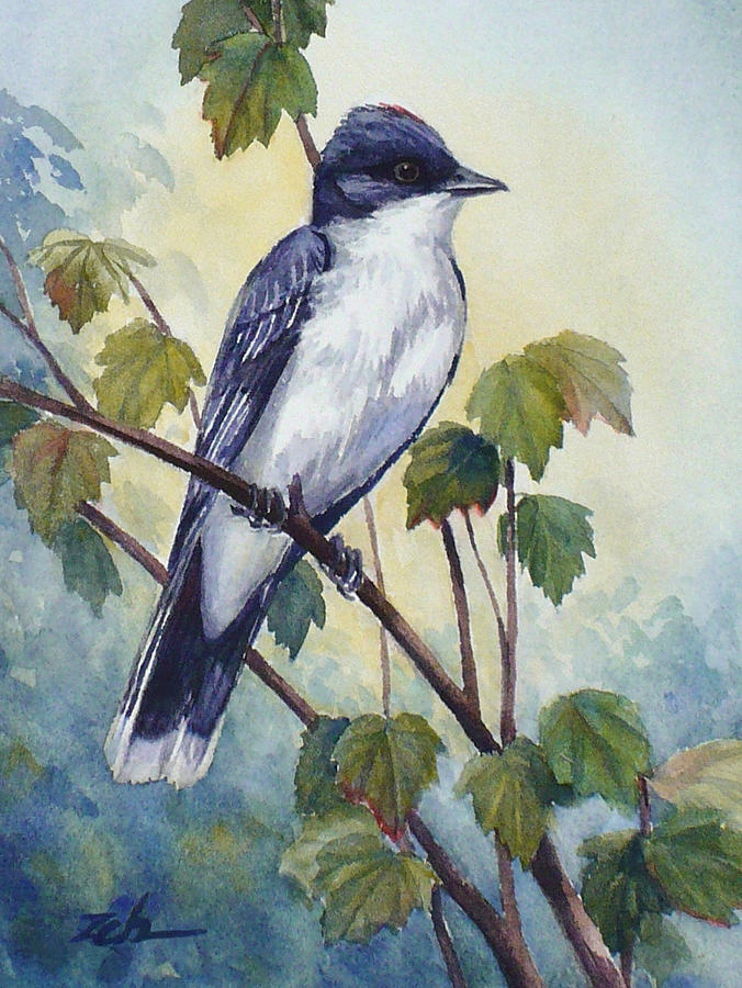 Eastern Kingbird Painting by Janet Zeh
