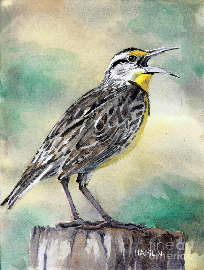 Eastern Meadowlark Painting by Steve Hamlin