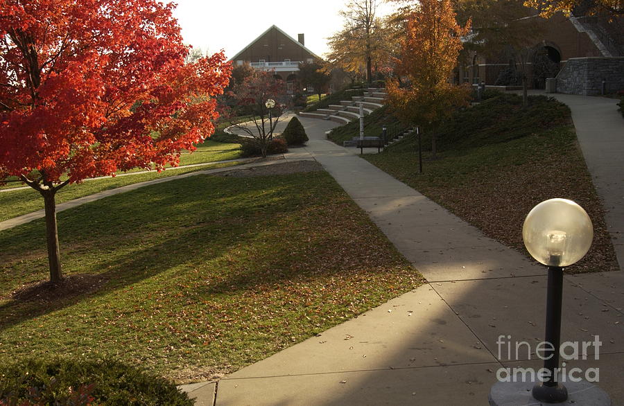 Eastern Mennonite University in Fall Photograph by Anna Lisa Yoder