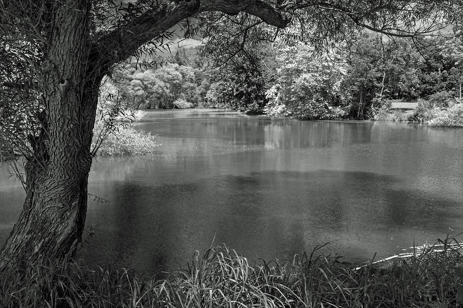 Eastern Neck Wildlife Refuge Maryland Black and White Photograph by Photographic Arts And Design Studio
