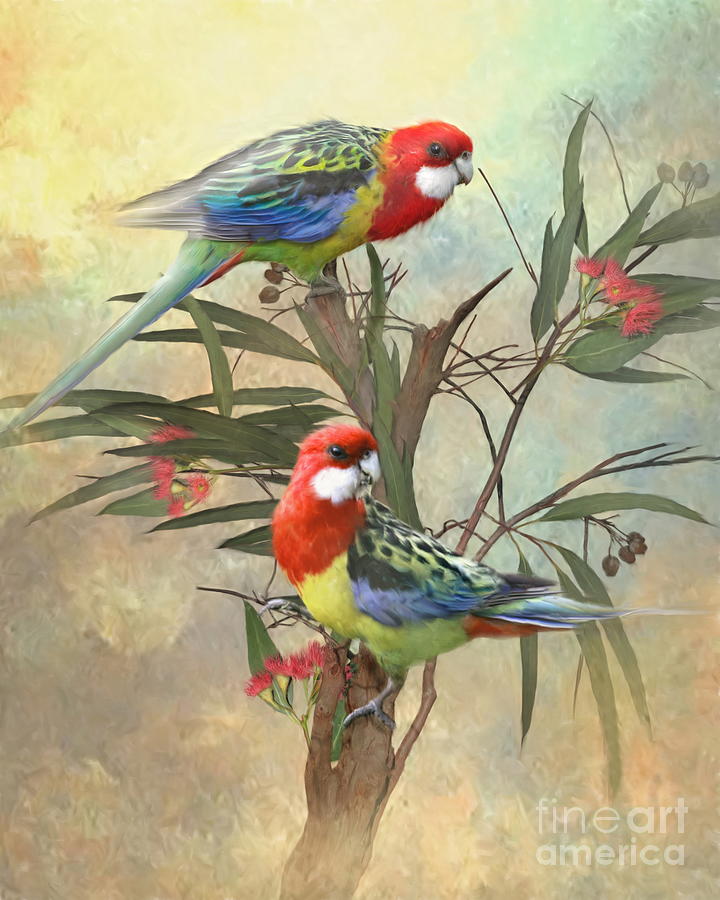 Parrot Digital Art - Eastern Rosella by Trudi Simmonds