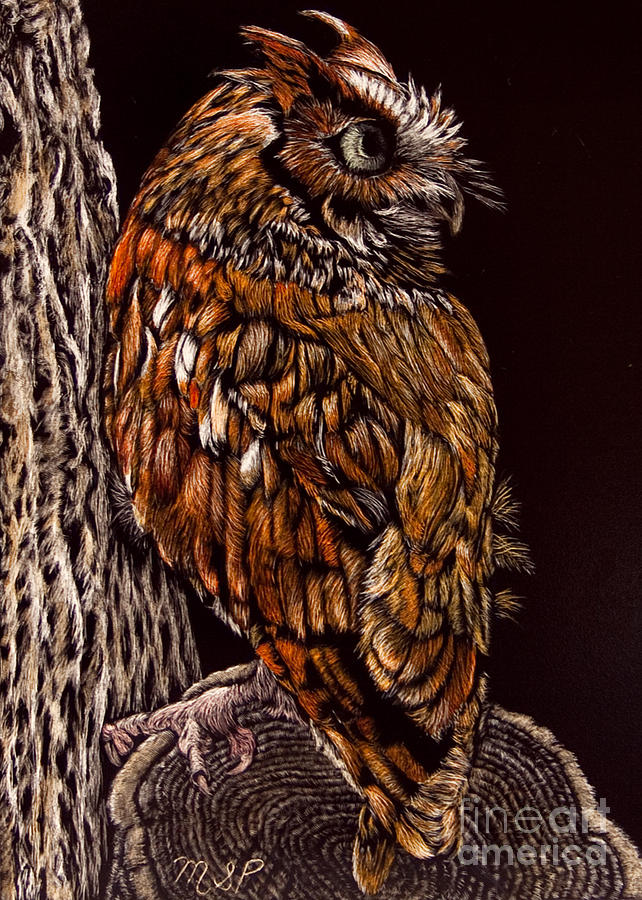 Eastern Screech Owl Painting by Margaret Sarah Pardy
