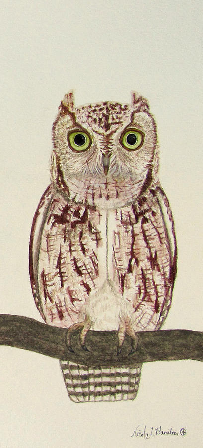 Eastern Screech Owl Painting by Nicole I Hamilton