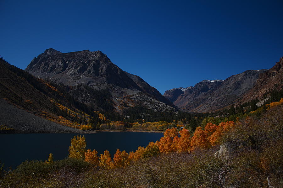 Fall Photograph - Eastern Sierra Nevada Fall Colors by Lisza Anne McKee