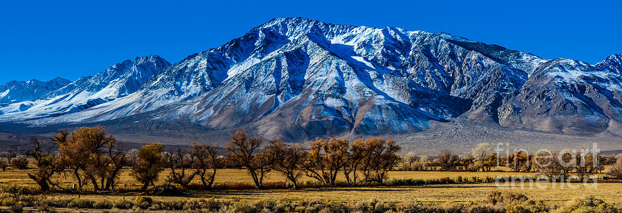 Eastern Sierra Nevada Panorama - Bishop - California Photograph by Gary Whitton