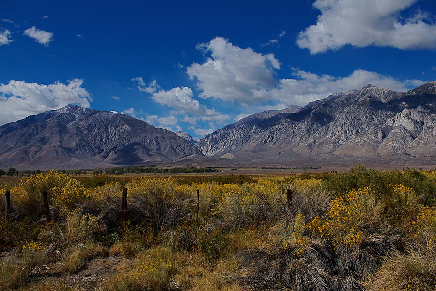 Landscape Photograph - Eastern Sierra Nevada Range by Lisza Anne McKee