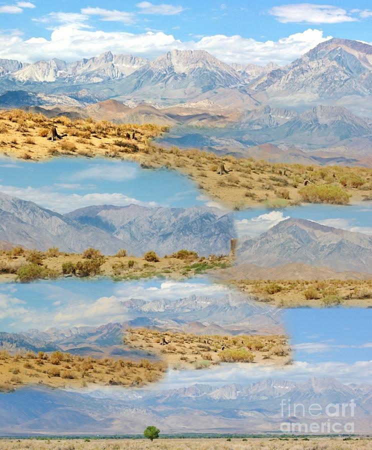 Eastern Sierras Collage Photograph by Marilyn Diaz