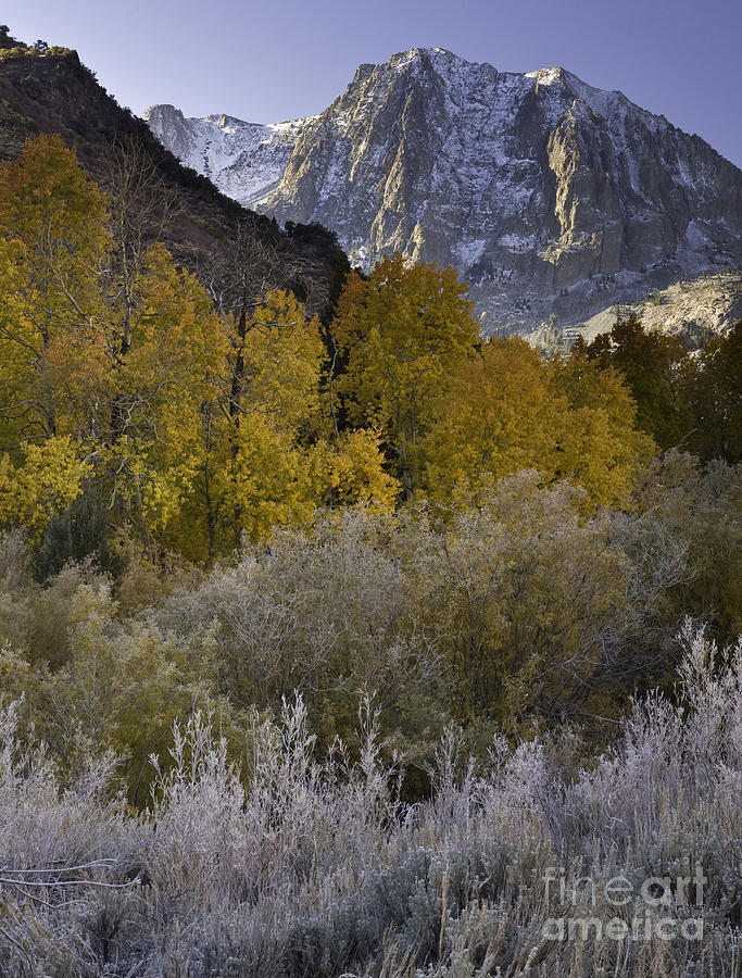 Eastern Sierras In Autumn Photograph by John Shaw
